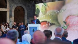 belediye baskani kayadan findik zeytin isyani ortada aci gercekler var gAfU7wSx