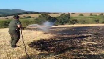 bilecikte cikan yangin sonduruldu 9H5QI734