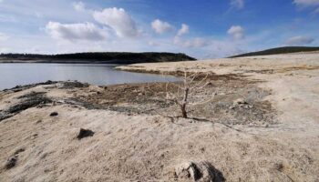 bir sehrin barajlari tamamen kurudu kuraklik kapiya dayandi F3eK5ZrY