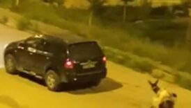 boyle vicdansizlik olmaz esege zulum cezasiz kalmadi video sarikamisi ayaga kaldirmisti zkRTOkJ3