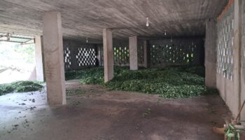 cay ureticileri isyanda bizi ozel sektore mahkum etti A4HTHaBt
