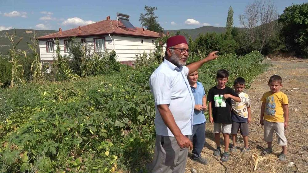 ciftci ac kalan tilkiyi pastayla kirpiyi ise fistik ile besledi dostluklari gulumsetti 2 FYzSnGKD