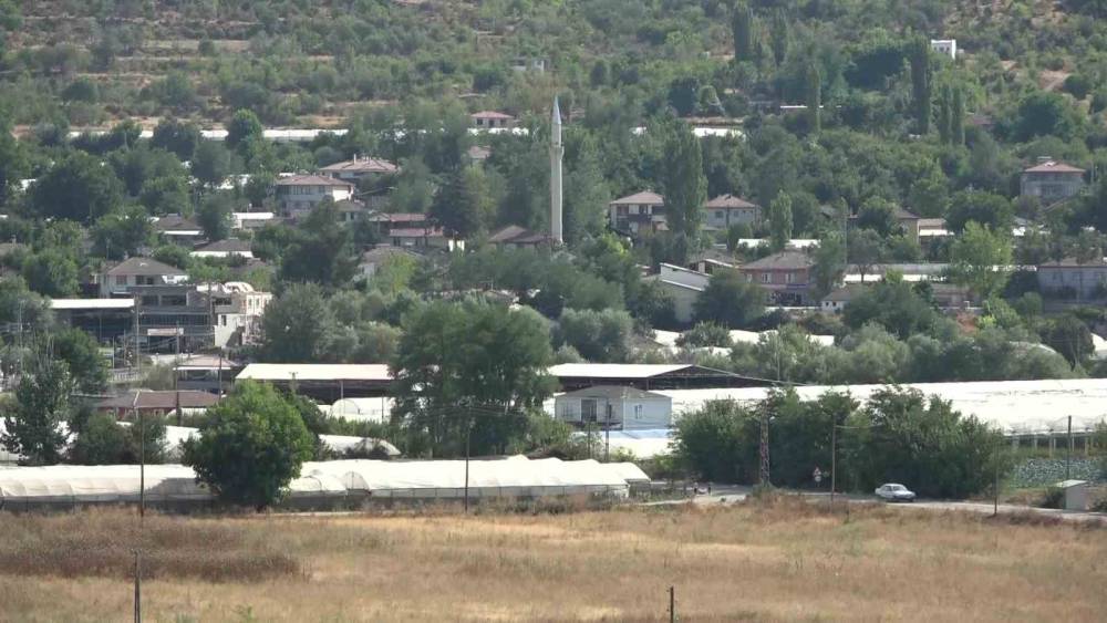 ciftci ac kalan tilkiyi pastayla kirpiyi ise fistik ile besledi dostluklari gulumsetti 4 JNwKyZDL