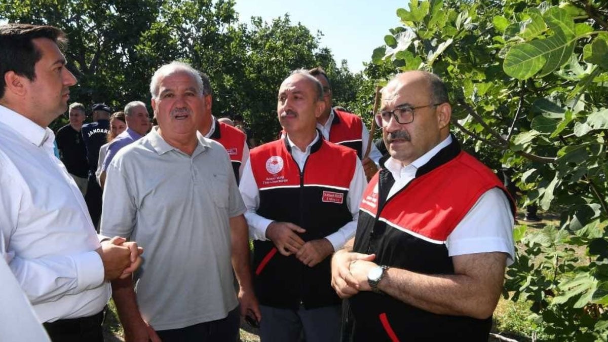 cografi isaretli havran siyah inciri hasadi basladi 0 7Q82GFwJ