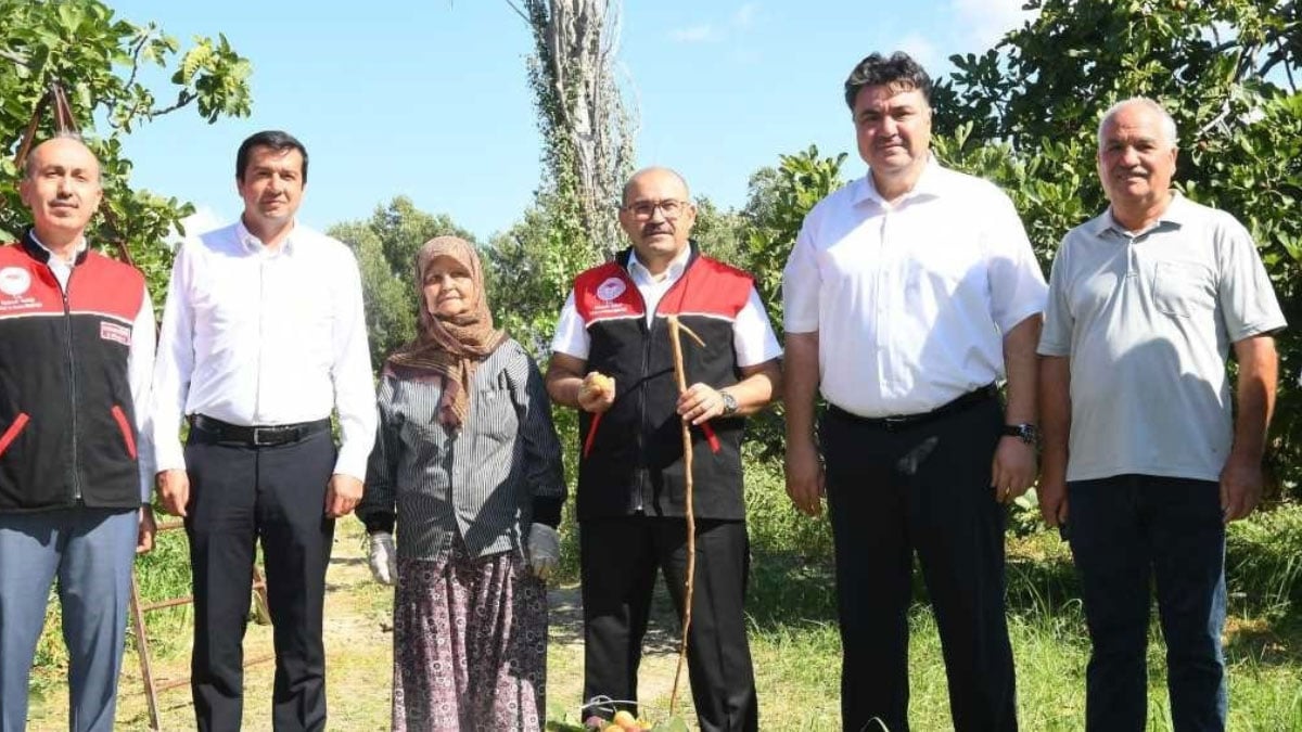 cografi isaretli havran siyah inciri hasadi basladi 1 LL8Kvv9t