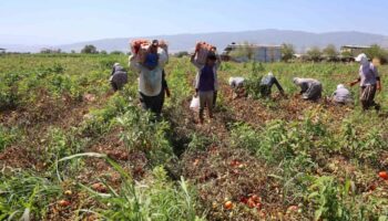 col sicaklarinda saati 250 tlye ter dokuyorlar mEPN1acq