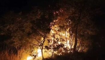 coplukte baslayan yangin araziye sicradi AgvexB55