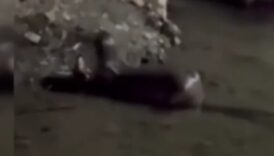 coruh nehrinde aniden ortaya cikti FUczSzyz