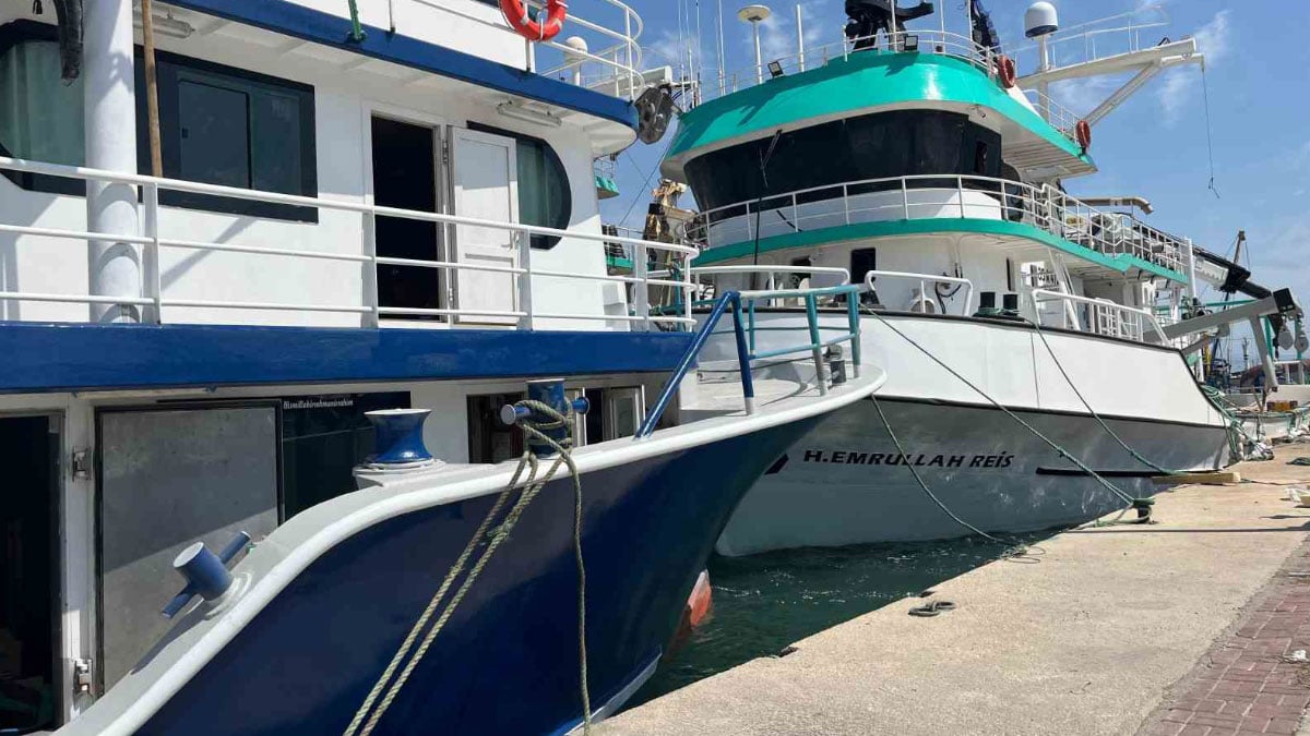 deniz kirliligi baligi vuruyor sardalyasiz sezon tehlikesi kapida 2 DqI8hvNy