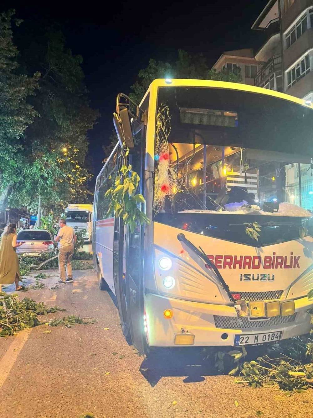 edirnede agac devrildi toplu tasima aracinin uzerine dustu 0 WR7cy1me