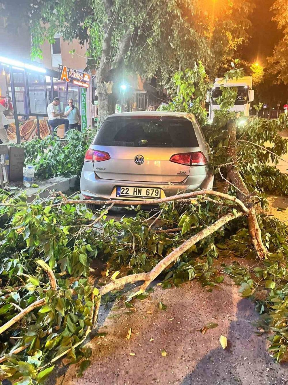 edirnede agac devrildi toplu tasima aracinin uzerine dustu 1 3PChAYWA