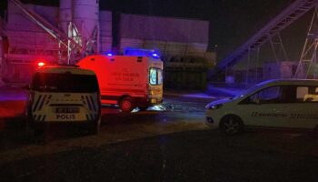 ekmek kapisi canini aldi utZ5JaEH