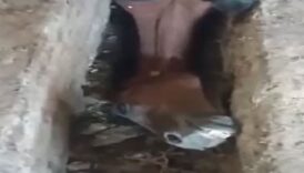 elazigda ahirda su giderine dusen ati itfaiye kurtardi EIJXEsCM