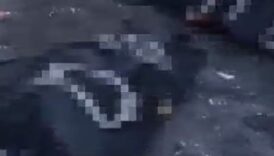 erzurumda cinayet gibi kaza cok sayida olu ve yarali var b9JAKlyV
