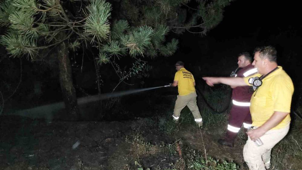 film sahnelerini aratmadi samsunda 8 kilometrelik alev zinciri surucu sonunda pes dedi 12 bG3HfWwI