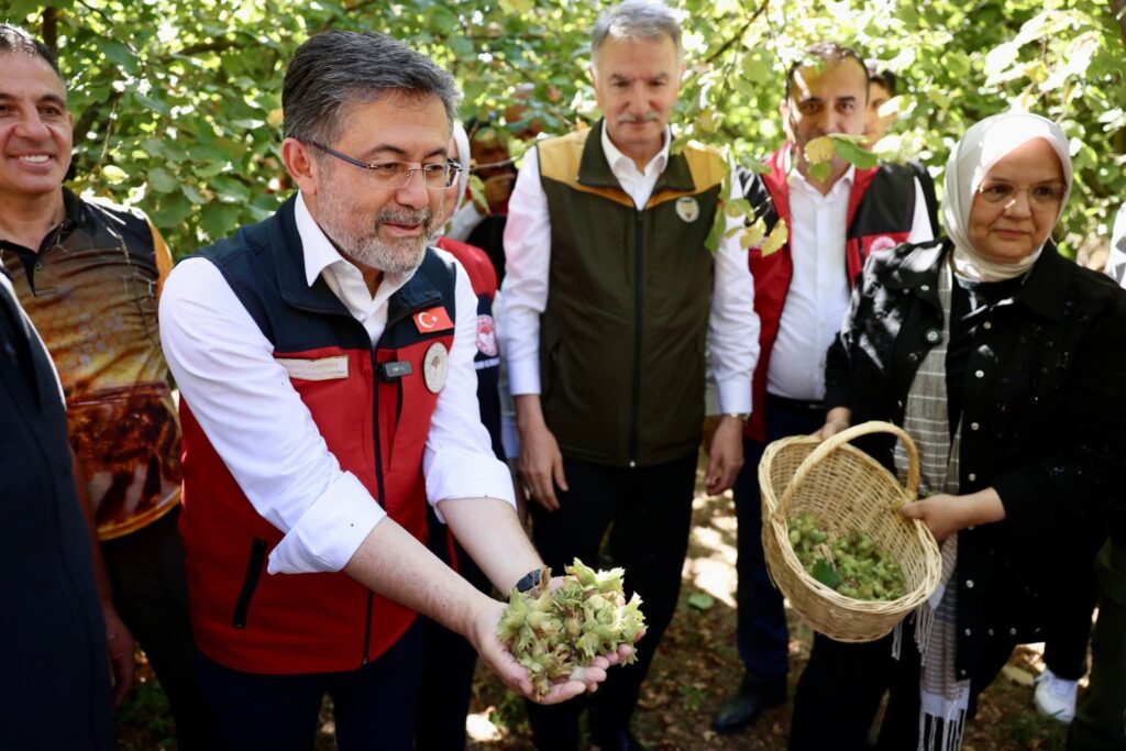 findik ureticilerine 2 milyar 300 milyon tl odenecek 4EfSdqM6