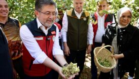 findik ureticilerine 2 milyar 300 milyon tl odenecek 4EfSdqM6