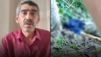 golkoyde kestigi agacin altinda kaldi feci sekilde can verdi YGME8BAu
