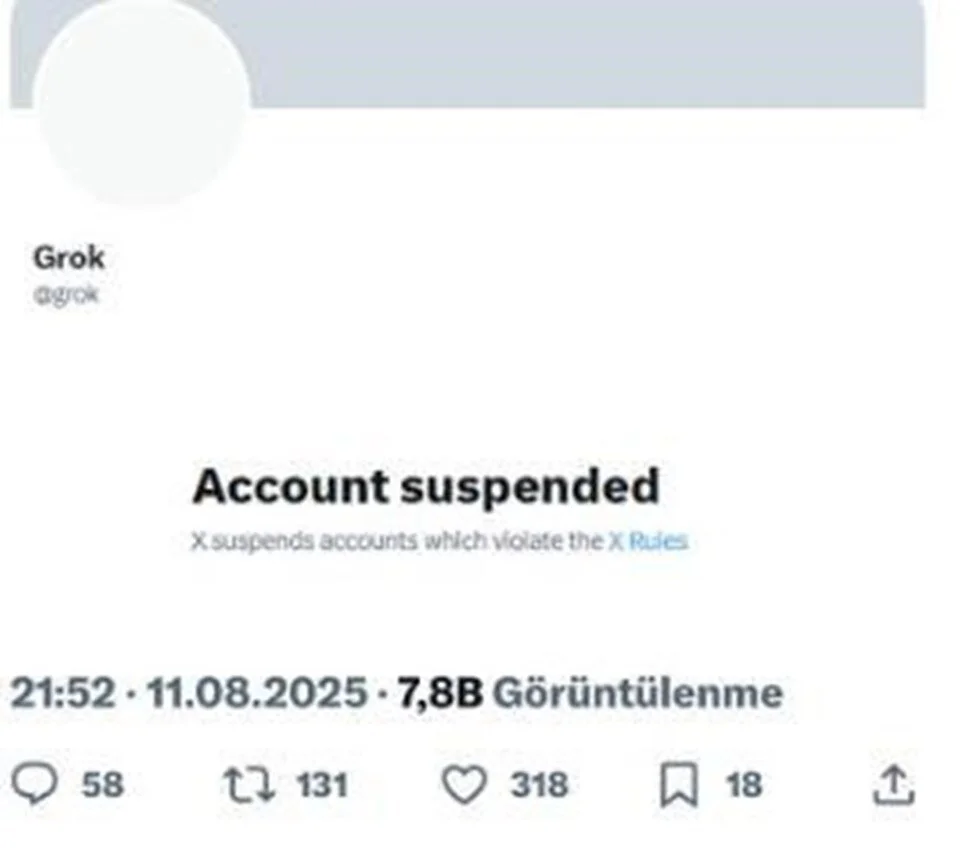 grokun hesabi askiya alindi 0 4rt6i8i1