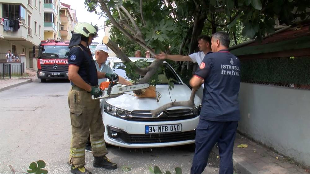 iett otobusu bir anda alev aldi kahraman sofor faciayi onledi istanbulun gobeginde korku dolu 2XhEXwtV