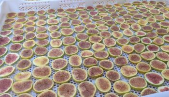 inciri boyle tuketmek artik yeni moda H1tDMReD