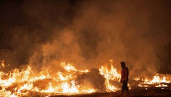 ispanyada orman yanginlari 50den fazla yerde devam ediyor 2tGmmUHx
