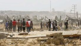 israilliler bati seriada iki filistin koyune saldirdi xKc7P43y