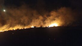 izmirdeki yangin kontrol altinda i6acJsTz