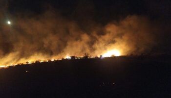 izmirdeki yangin kontrol altinda i6acJsTz