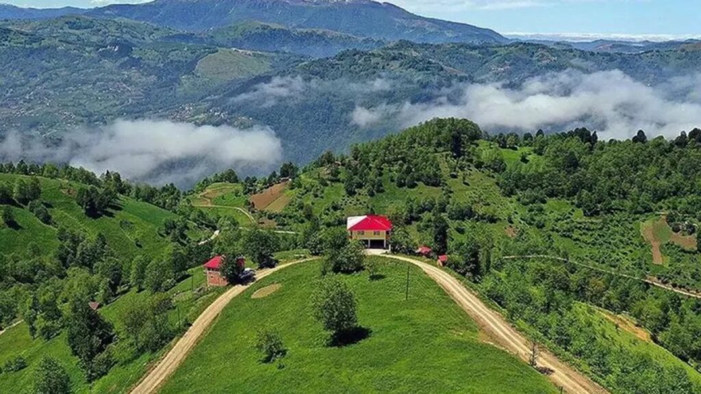 karadenizde alerji alarmiyla ilgili hayat kurtaran uyarilar K3Kn8jGK