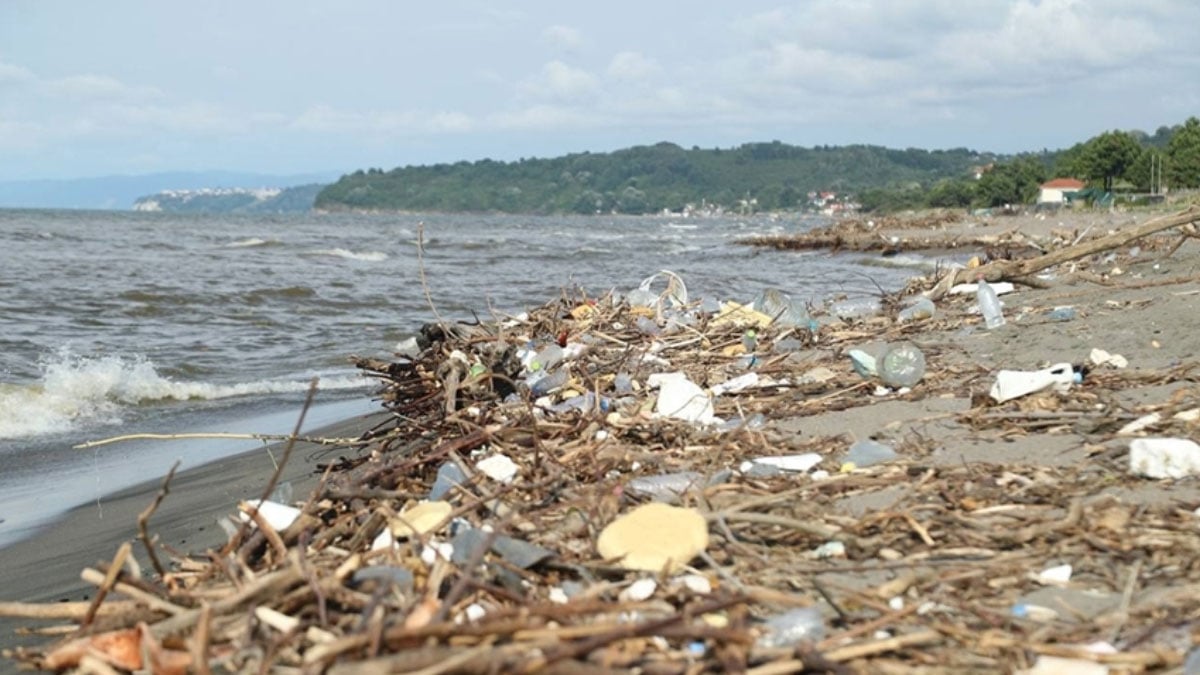 karadenizde mikroplastik kirliligi istavrit ve mezgitte goruldu miktar daha da yukseliyor 3 tORmmvPb