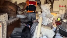 kayseride kenevir yetistiren 1 kisiye gozalti jhUbDAws