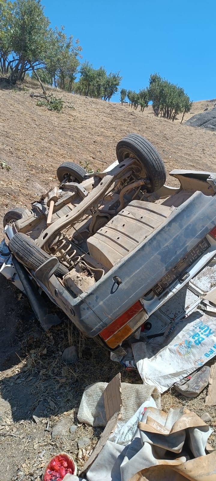 kiz isteme yolunda kaza sarampole devrildi cok sayida yarali var 5 V9TUdehq