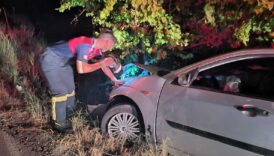 kontrolden cikti agaca carpti ItahD2gL