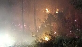 koycegizde orman yangini kontrol altina alindi rlFmPYkU