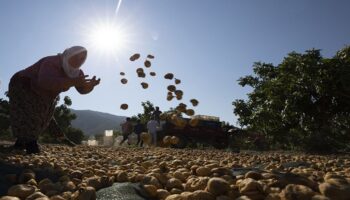 kuru incirde yeni donem 2025 hedefleri aciklandi vcGrc2cd