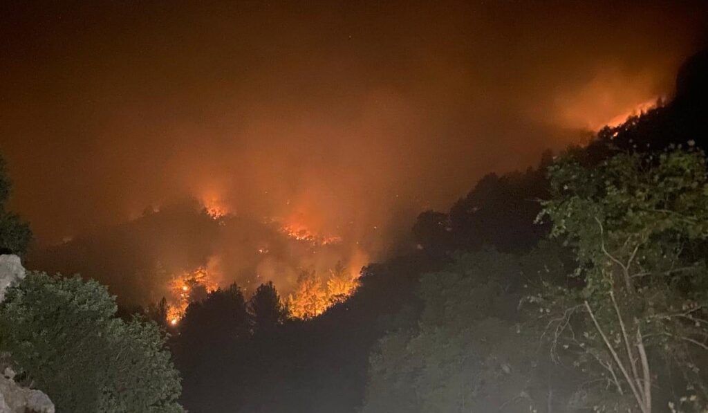 mersinde iki ilcede orman yanginlari suruyor gR4srp6D