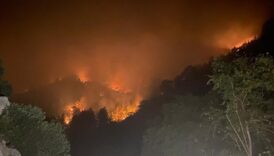 mersinde iki ilcede orman yanginlari suruyor gR4srp6D