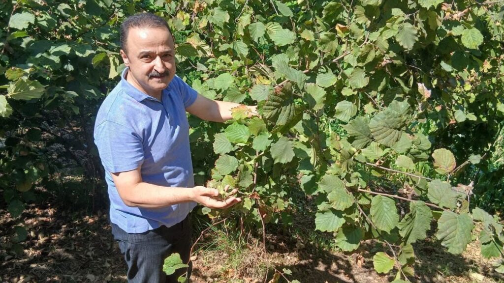 mhpli sanliturkten kritik uyari rekolte dusuyor fiyat yukseliyor PDwuEnDP