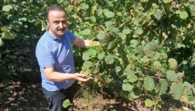 mhpli sanliturkten kritik uyari rekolte dusuyor fiyat yukseliyor PDwuEnDP