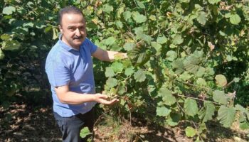 mhpli sanliturkten kritik uyari rekolte dusuyor fiyat yukseliyor PDwuEnDP