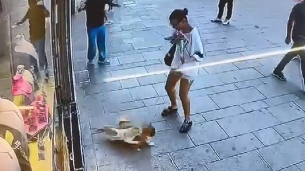 muhtarin saldirisi sosyal medyada gundem oldu kopek sahibi zor anlar yasadi 1 vWP2twcz
