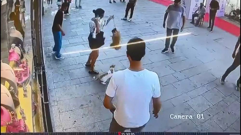 muhtarin saldirisi sosyal medyada gundem oldu kopek sahibi zor anlar yasadi 2