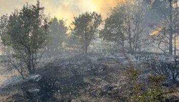 orman yangini 4 saatte sonduruldu 2JSV1dEF