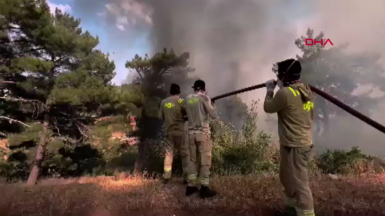 ormanlarina yanginlarina mudahale suruyor yuzlerce vatandas tahliye edildi 0 dXEqR5vw