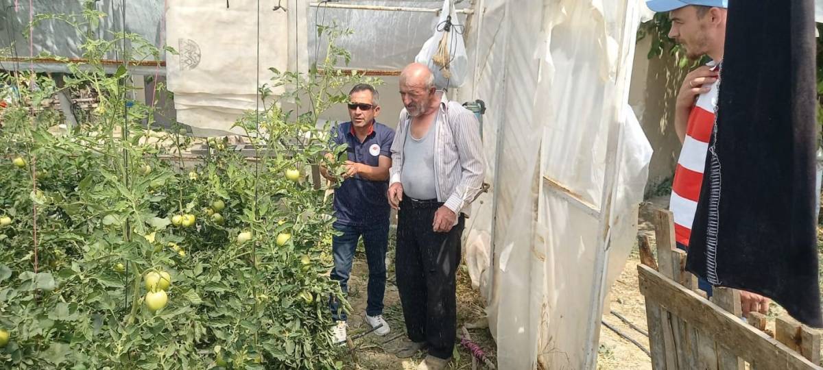 seralarda hastalik kontrolu 0 22DOQmRL