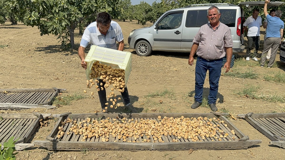 sezonun ilk satisi yapildi ve sembolik fiyat belli oldu 0 krzeUZwe