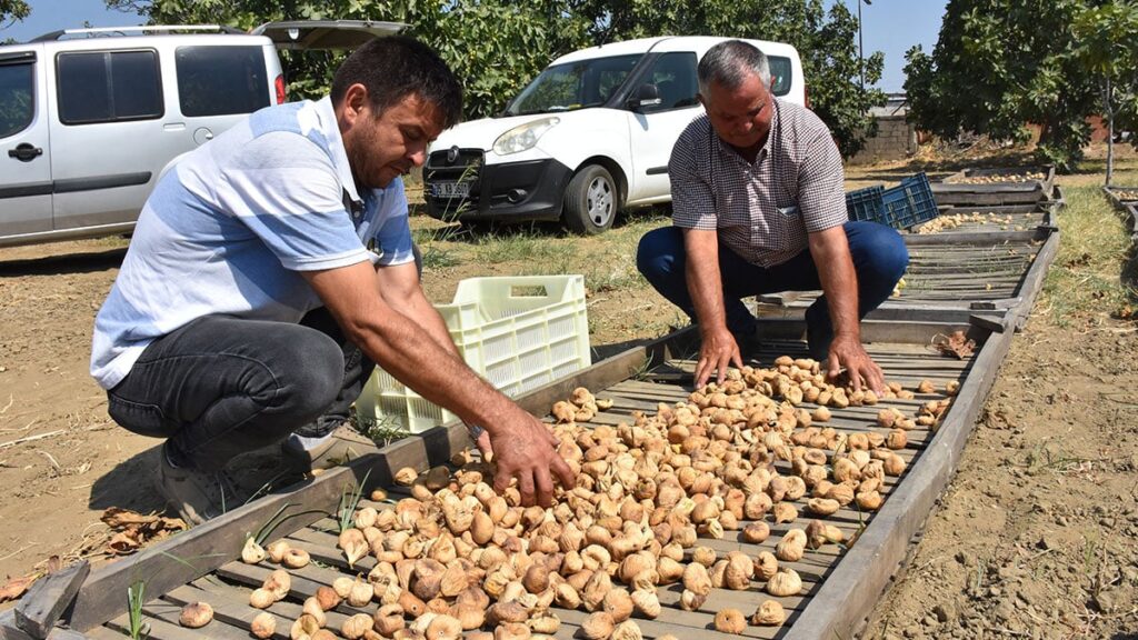 sezonun ilk satisi yapildi ve sembolik fiyat belli oldu utXpYRI1