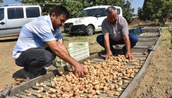 sezonun ilk satisi yapildi ve sembolik fiyat belli oldu utXpYRI1