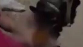 skandal goruntuler sonrasi harekete gecildi c9cHdRb2